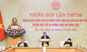 Nỗ lực chuyển đổi nghề, tạo sinh kế bền vững cho ngư dân