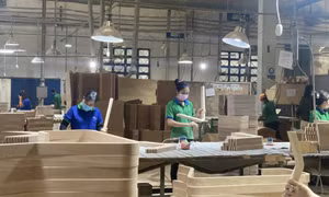 Nhãn hiệu 'Gỗ Việt Nam': Nâng tầm ngành lâm nghiệp