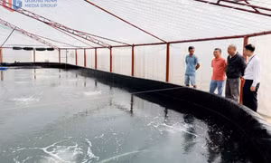 Ngân hàng đồng hành cùng hộ kinh doanh