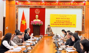 Ban Pháp chế HĐND tỉnh thẩm tra các báo cáo và dự thảo nghị quyết trình kỳ họp cuối năm 2025