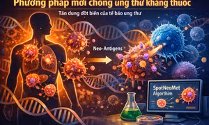 Phương pháp mới chống các loại ung thư không còn đáp ứng với điều trị