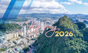 Kỳ vọng 2026