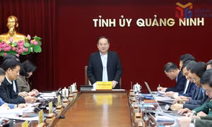 Hội nghị Ban Thường vụ Tỉnh ủy