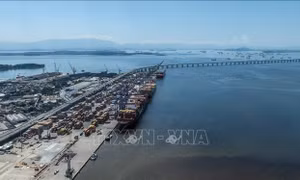 LHQ cảnh báo tăng trưởng toàn cầu năm 2025 giảm do bất ổn tài chính và địa chính trị