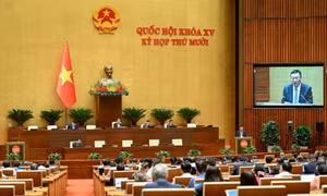 Tiếp công dân theo hình thức trực tiếp và trực tuyến