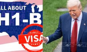 Chính sách thị thực H-1B của Tổng thống Trump lại bị kiện
