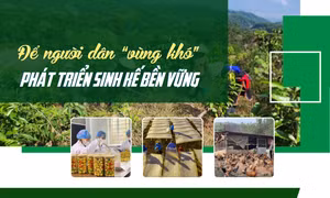 Để người dân “vùng khó” phát triển sinh kế bền vững