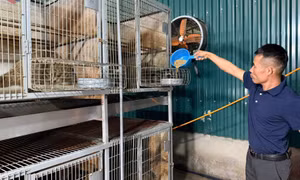 Giảm lãi suất các chương trình tín dụng chính sách