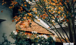Đà Lạt, mùa lá đổi màu...