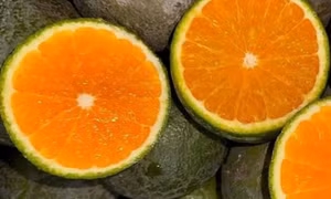 Bổ sung vitamin C đúng cách để giảm nguy cơ bệnh tật