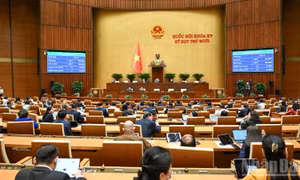 Thông cáo báo chí số 36, Kỳ họp thứ 10, Quốc hội khóa XV