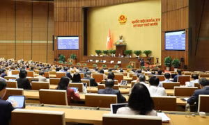 Thủ tướng được quyền áp dụng các biện pháp luật chưa quy định trong tình trạng khẩn cấp