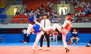 Khởi tranh Giải Vô địch Taekwondo, Pencak Silat các nhóm tuổi tỉnh 