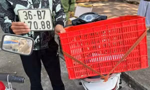 Thanh Hóa: Một shipper bị phạt 30 triệu đồng vì vi phạm nhiều lỗi giao thông