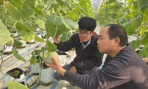 Nông dân làm chủ khoa học công nghệ