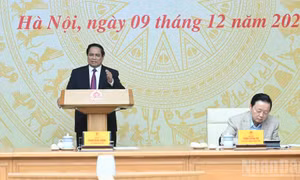 Quyết tâm phát triển ngành thủy sản bền vững; xử lý dứt điểm các vụ việc khai thác IUU
