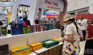 OECD: Việt Nam duy trì nền tảng tăng trưởng tích cực trong giai đoạn 2026-2027
