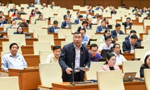 Cân đối tỷ trọng nguồn vốn đầu tư, bảo đảm hiệu quả Chương trình mục tiêu quốc gia về giáo dục