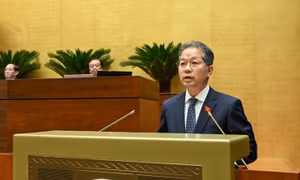Gần 97% số vụ việc liên quan đến quy hoạch, quản lý và sử dụng đất đai đã được giải quyết