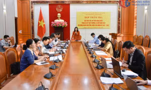 Ban Kinh tế - Ngân sách HĐND tỉnh thẩm tra các báo cáo, tờ trình, dự thảo nghị quyết