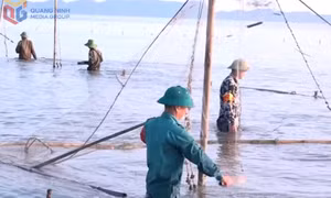 Tăng trách nhiệm của chính quyền trong quản lý tài nguyên