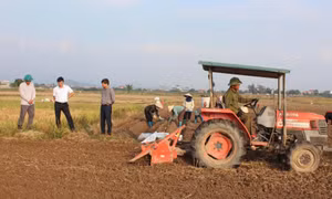 Phường An Sinh đảm bảo tiến độ sản xuất vụ Đông xuân