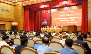 Đổi mới mạnh mẽ tư duy, hành động quyết liệt, tạo chuyển biến rõ nét trong thực hiện mục tiêu phát triển