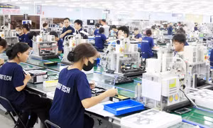 Bản tin vùng Đông Bắc ngày 27/12/2025