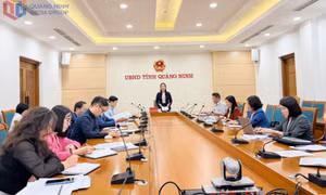 Phấn đấu thành lập Trung tâm Hỗ trợ phát triển giáo dục hoà nhập công lập vào tháng 1/2026