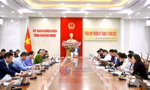 UBND tỉnh họp phiên thường kỳ tháng 11