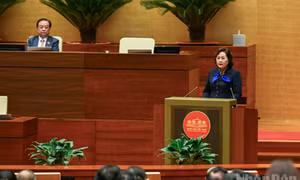 Tổ chức bảo hiểm tiền gửi được tham gia xử lý sự cố, khủng hoảng của tổ chức tín dụng