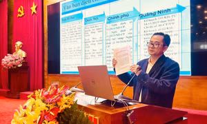 Bảo vệ quyền lợi người tiêu dùng
