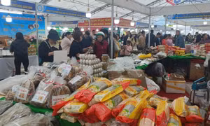 Giúp doanh nghiệp tư nhân xây dựng, quảng bá thương hiệu