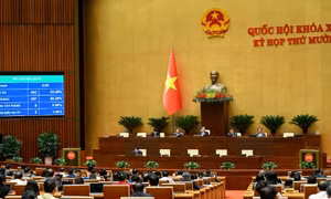 Viên chức được góp vốn, quản lý doanh nghiệp từ 1/7/2026