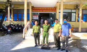 Đấu tranh ngăn chặn hành vi buôn bán, vận chuyển động vật hoang dã