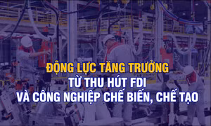 Động lực tăng trưởng từ thu hút FDI và công nghiệp chế biến, chế tạo 