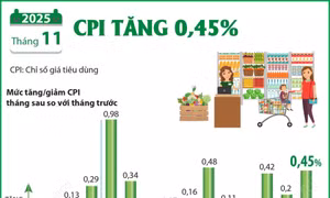 Chỉ số giá tiêu dùng tháng 11 năm 2025 tăng 0,45%