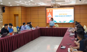 Triển khai đồng bộ Tổng điều tra kinh tế năm 2026 trên địa bàn tỉnh