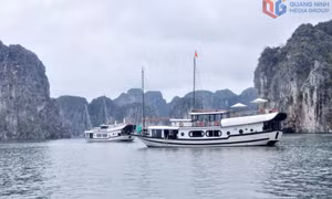 Gìn giữ, phát huy giá trị các di sản thế giới: Hướng tới những mục tiêu mới trong năm 2026