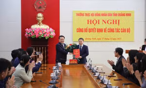 Trao quyết định của HĐND tỉnh về công tác cán bộ