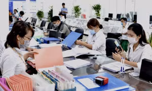 Quy định mới về tiêu chuẩn chức danh công chức lãnh đạo, quản lý trong cơ quan hành chính nhà nước