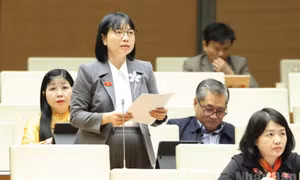 Giải quyết kiến nghị cử tri theo hướng thực chất, đo bằng kết quả ngoài thực tiễn