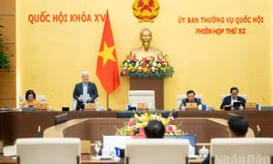 Quốc hội khóa mới dự kiến họp kỳ đầu tiên vào tháng 4/2026