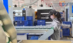 Trụ cột tăng trưởng công nghiệp Quảng Ninh