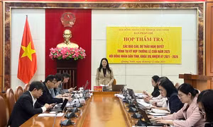 Ban Pháp chế HĐND tỉnh thẩm tra các tờ trình, dự thảo nghị quyết