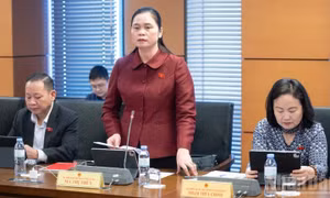 Gỡ nút thắt hoàn thuế để doanh nghiệp yên tâm sản xuất, kinh doanh