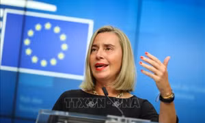 Bỉ bắt giữ cựu đại diện cấp cao của EU phụ trách chính sách an ninh và đối ngoại  F.Mogherini 