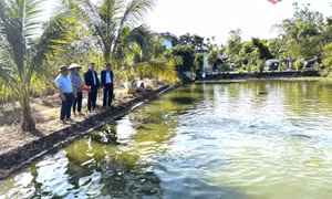 Xã Quảng Tân phát huy vai trò của đội ngũ người có uy tín