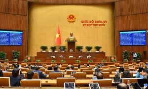 Thông cáo báo chí số 32, Kỳ họp thứ 10, Quốc hội khóa XV