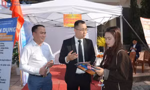Định hướng nghề nghiệp cho học sinh, sinh viên